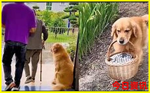 中国必去的旅游城市